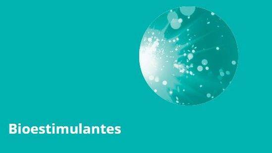 Manvert - Bioestimulantes|estimulante-de-la-brotacion